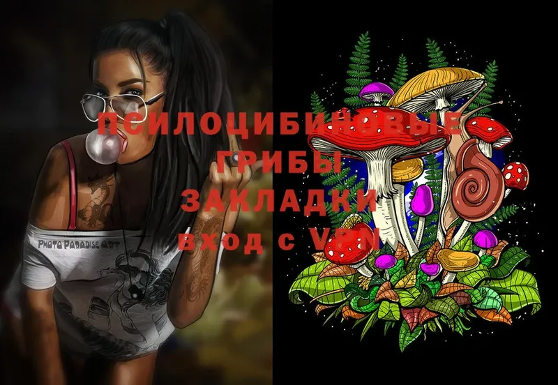 Галлюциногенные грибы Magic Shrooms  Саранск 